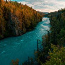 Kenai River flowing blue among Alaska's autumn colors